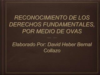 RECONOCIMIENTO DE LOS
DERECHOS FUNDAMENTALES,
POR MEDIO DE OVAS
Elaborado Por: David Heber Bernal
Collazo
 