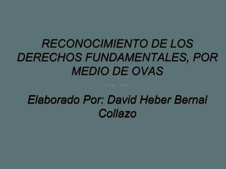 RECONOCIMIENTO DE LOS
DERECHOS FUNDAMENTALES, POR
MEDIO DE OVAS
Elaborado Por: David Heber Bernal
Collazo
 