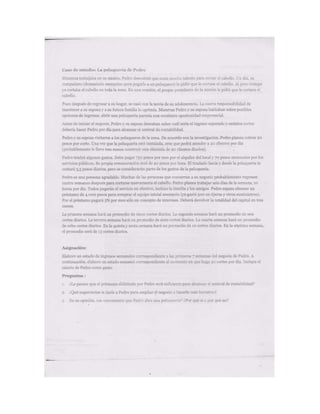 Documento escaneado plan de negocios