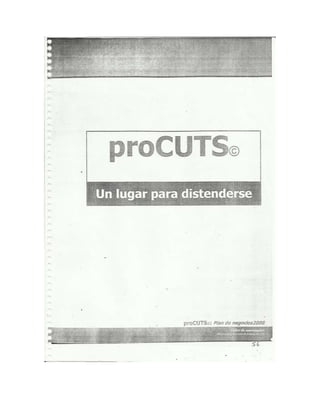 Documento escaneado plan de negocios