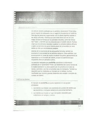 Documento escaneado plan de negocios