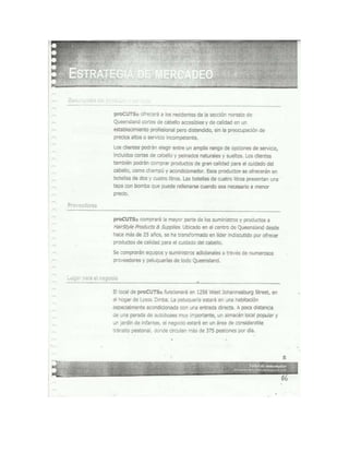 Documento escaneado plan de negocios