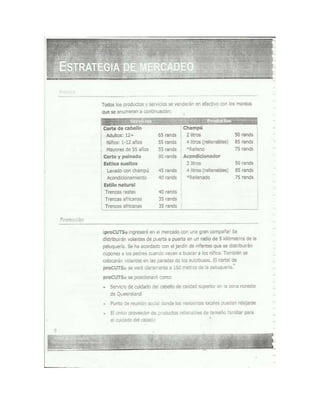Documento escaneado plan de negocios