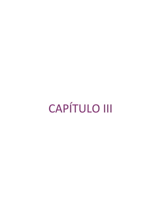 CAPÍTULO III
 