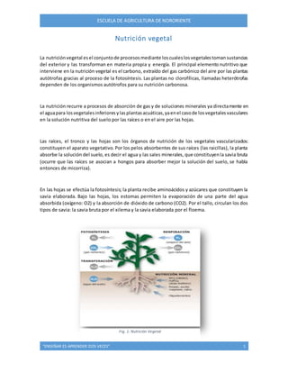 ESCUELA DE AGRICULTURA DE NORORIENTE 
Nutrición vegetal 
La nutrición vegetal es el conjunto de procesos mediante los cuales los vegetales toman sustancias 
del exterior y las transforman en materia propia y energía. El principal elemento nutritivo que 
interviene en la nutrición vegetal es el carbono, extraído del gas carbónico del aire por las plantas 
autótrofas gracias al proceso de la fotosíntesis. Las plantas no clorofílicas, llamadas heterótrofas 
dependen de los organismos autótrofos para su nutrición carbonosa. 
La nutrición recurre a procesos de absorción de gas y de soluciones minerales ya directamente en 
el agua para los vegetales inferiores y las plantas acuáticas, ya en el caso de los vegetales vasculares 
en la solución nutritiva del suelo por las raíces o en el aire por las hojas. 
Las raíces, el tronco y las hojas son los órganos de nutrición de los vegetales vascularizados: 
constituyen el aparato vegetativo. Por los pelos absorbentes de sus raíces (las raicillas), la planta 
absorbe la solución del suelo, es decir el agua y las sales minerales, que constituyen la savia bruta 
(ocurre que las raíces se asocian a hongos para absorber mejor la solución del suelo, se habla 
entonces de micorriza). 
En las hojas se efectúa la fotosíntesis; la planta recibe aminoácidos y azúcares que constituyen la 
savia elaborada. Bajo las hojas, los estomas permiten la evaporación de una parte del agua 
absorbida (oxígeno: O2) y la absorción de dióxido de carbono (CO2). Por el tallo, circulan los dos 
tipos de savia: la savia bruta por el xilema y la savia elaborada por el floema. 
Fig. 1: Nutrición Vegetal 
“ENSEÑAR ES APRENDER DOS VECES” 1 
 
