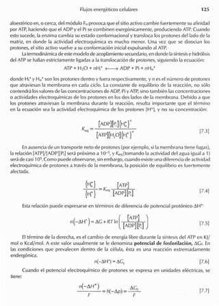 aloesterico en, 0 cerca, del modulo Fo provoca que el sitio activo cambie fuertemente su afinidad
por ATP, haciendo que el ADP y el Pi se combinen exergonicamente, produciendo ATP. Cuando
esto sucede, la enzima cambia su estado conformacional y transloca 105 protones dellado de la
matriz, en donde la actividad electroquimica es mucho menor. Una vez que se disocian 105
protones, el sitio activo vuelve a su conformacion inicial expulsando al ATP.
Latermodinamica de este modelo de acoplamiento secundario, en donde la sintesis e hidrolisis
del ATP se hallan estrictamente ligadas a la translocacion de protones, siguiendo la ecuacion:
ATP + H20 + nH;+ ~ ADP + Pi + nHo+
donde Hj+ Y Ho+ son 105 protones dentro y fuera respectivamente, y n es el numero de protones
que atraviesan la membrana en cada cicio. La constante de equilibrio de la reaccion, no solo
contendra 105 valores de las concentraciones de ADP, Pi Y ATP, sino tam bien las concentraciones
o actividades electroquimicas de 105 protones en 105 dos lados de la membrana. Debido a que
105 protones atraviesan la membrana durante la reaccion, resulta importante que el termino
en la ecuacion sea la actividad electroquimica de 105 protones {H+}, y no su concentracion:
[ADP][Pi]{H~ r
[ATP][Hp]{Ht r
En ausencia de un transporte neto de protones (por ejemplo, si la membrana tiene fugasl,
la relacion [ATP)/[ADP][P;] sera proximo a 10-5, Y Keq (tomando la actividad del agua igual all
sera de casi 105. Como puede observarse, sin embargo, cuando existe una diferencia de actividad
electroquimica de protones a traves de la membrana, la posicion de equilibrio es fuertemente
afectada.
{H~} [ATP]
{Ht} = K
eq
[ADP][~]
+ [ [ATP] )
n(-ilH )=ilC+RTln [ADP][~]
EI termino de la derecha, es el cambio de energia libre durante la sintesis del ATP en KJ/
mol 0 Kcaljmol. A este valor usualmente se Ie denomina potencial de fosforilacion, ilGi. En
las condiciones que prevalecen dentro de la celula, esta es una reaccion extremadamente
endergonica.
Cuando el potencial electroquimico de protones se expresa en unidades electricas, se
tiene:
n( ilH+)
- = h( -Llp) = LlCr
F F
 