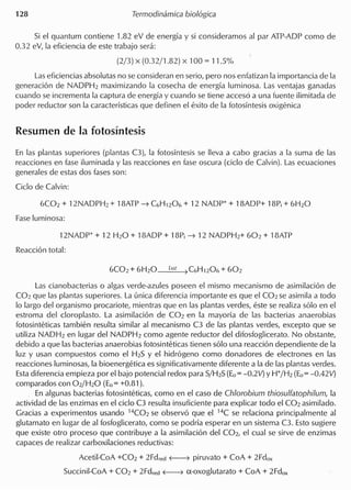 Si el quantum contiene 1.82 eV de energia y si consideramos al par ATP-ADP como de
0.32 eV, la eficiencia de este trabajo sera:
Laseficiencias absolutas no seconsideran en serio, pero nos enfatizan la importancia de la
generacion de NADPH2 maximizando la cosecha de energia luminosa. Las ventajas ganadas
cuando se incrementa la captura de energia y cuando se tiene acceso a una fuente ilimitada de
poder reductor son la caracteristicas que definen el exito de la fotosintesis oxigenica
En las plantas superiores (plantas C3), la fotosintesis se lIeva a cabo gracias a la suma de las
reacciones en fase iluminada y las reacciones en fase oscura (cicio de Calvin). Las ecuaciones
generales de estas dos fases son:
Cicio de Calvin:
Las cianobacterias 0 algas verde-azules poseen el mismo mecanismo de asimilacion de
C02 que las plantas superiores. La unica diferencia importante es que el C02 se asimila a todo
10 largo del organismo procariote, mientras que en las plantas verdes, este se realiza solo en el
estroma del cloroplasto. La asimilacion de C02 en la mayoria de las bacterias anaerobias
fotosinteticas tambien resulta similar al mecanismo C3 de las plantas verdes, excepto que se
utiliza NADH2 en lugar del NADPH2 como agente reductor del difosfoglicerato. No obstante,
debido a que las bacterias anaerobias fotosinteticas tienen solo una reaccion dependiente de la
luz y usan compuestos como el H2S y el hidrogeno como donadores de electrones en las
reacciones luminosas, la bioenergetica es significativamente diferente a la de las plantas verdes.
Estadiferencia empieza por el bajo potencial redox para SjH2S(Eo= -0.2V) YW/H2 (Eo= -0.42V)
comparados con 02/H20 (Eo= +0.81 ).
. En algunas bacterias fotosinteticas, como en el caso de Chlorobium thiosulfatophilum, la
actividad de las enzimas en el cicio C3 resulta insuficiente para explicar todo el C02 asimilado.
Gracias a experimentos usando 14C02 se observo que el 14C se relaciona principalmente al
glutamato en lugar de al fosfoglicerato, como se podria esperar en un sistema C3. Esto sugiere
que existe otro proceso que contribuye a la asimilacion del C02, el cual se sirve de enzimas
capaces de realizar carboxilaciones reductivas:
Acetil-CoA +C02 + 2Fdred f---7 piruvato + CoA + 2Fdox
Succinil-CoA + CO2 + 2Fdredf---7 a-oxoglutarato + CoA + 2Fdox
 