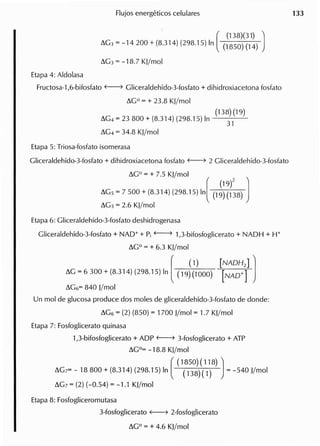 (
(138)(31) )
~G3 = -14 200 + (8.314) (298.15) In (1850) (14)
~G3 = -18.7 Kl/mQI
Etapa 4: Aldolasa
Fructosa-1,6-bifosfato (----7 Gliceraldehido-3-fosfato + dihidroxiacetona fosfato
~GO= + 23.8 Kl/mol
(138) (19)
~G4 = 23 800 + (8.314) (298.15) In 31
~G4 = 34.8 Kl/mol
Etapa 5: Triosa-fosfato isomerasa
Gliceraldehido-3-fosfato + dihidroxiacetona fosfato (----7 2 Gliceraldehido-3-fosfato
~GO = + 7.5 Kl/mol ((19)2]
~G5 = 7 500 + (8.314) (298.15) In (19)(138)
~G5 = 2.6 Kl/mol
Etapa 6: Gliceraldehido-3-fosfato deshidrogenasa
Gliceraldehido-3-fosfato + NAD+ + Pi (----7 1,3-bifosfoglicerato + NADH + W
~Go = + 6.3 Kl/mol
(
(1) [NADH2] J
~G = 6 300 + (8.314) (298.15) In (19)(1000) [NAD+]
~G6= 840 l/mol
Un mol de glucosa produce dos moles de gliceraldehido-3-fosfato de donde:
~G6 = (2) (850) = 1700 l/mol = 1.7 Kl/mol
Etapa 7: Fosfoglicerato quinasa
l,3-bifosfoglicerato + ADP (----7 3-fosfoglicerato + ATP
~Go= -18.8 Kl/mol
(
(1850)(118))
~G7= - 18800 + (8.314) (298.15) In (138)(1) = -540 l/mol
~G7 = (2) (-0.54) = -1.1 KJ/mol
Etapa 8: Fosfogliceromutasa
3-fosfoglicerato (----7 2-fosfoglicerato
~Go = + 4.6 KJlmol
 
