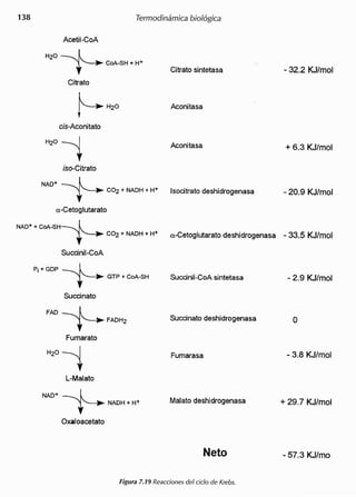 H20~ ~, CoA-5H + H+
Citrato
NAD· -t--C02 • NADH • H·
a-Cetoglutarato
NAD+ + COA-5H~ _
,~ C02+NADH+H+
Succinil-CoA
Pi + GDP - 1.. ~.•• GTP + CoA-SH
Succinato
FAD~ _
.•• ~ FADH2
Fumarato
-t--NADH. H·
Oxaloacetato
 