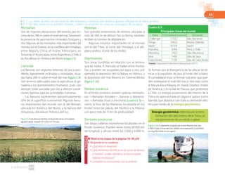 63
Montañas
Son las mayores elevaciones del terreno, por en-
cima de los 700 m sobre el nivel del mar. Favorecen
la presencia de yacimientos minerales, bosques y
ríos. Algunas de las montañas más importantes del
mundo son el Everest, en la cordillera del Himalaya,
entre Nepal y China; el monte Kilimanjaro, en
Tanzania; el Aconcagua, entre Argentina y Chile; y
las Rocallosas en América del Norte (mapa 2.5).
Llanuras
Las llanuras son regiones extensas de poca pen-
diente, ligeramente inclinadas u onduladas, situa-
das hasta 200 m sobre el nivel del mar (figura 2.9).
Son terrenos adecuados para la agricultura, la ga-
nadería y los asentamientos humanos, pues casi
siempre están surcadas por ríos y ofrecen condi-
ciones óptimas para las actividades humanas.
Las llanuras representan aproximadamente
55% de la superficie continental. Algunas llanu-
ras importantes del mundo son la del Misisipi,
ubicada en América del Norte, y la llanura del
Amazonas, ubicada en América del Sur.
Mesetas
Son grandes extensiones de terreno, ubicadas a
más de 500 m de altitud. Por su forma, también
reciben el nombre de altiplanicies.
Algunas mesetas importantes en el mundo
son la del Tíbet, al norte del Himalaya, y el alti-
plano andino, al este de los Andes.
Depresiones
Son áreas hundidas en relación con el terreno
que las rodea. A menudo se hallan entre monta-
ñas y pueden ser ocupadas por lagos o ríos; por
ejemplo, la depresión del río Balsas, en México, y
la depresión del mar Muerto en Oriente Medio
(figura 2.10).
Relieve oceánico
En el fondo oceánico existen cadenas montaño-
sas —llamadas dorsales—, llanuras y depresio-
nes —llamadas fosas o trincheras (cuadro 2.3)—,
como la fosa de las Marianas, localizada en los
límites entre las placas del Pacífico y la Filipina,
con poco más de 11 km de profundidad.
Dorsales oceánicas
Son largas cadenas montañosas localizadas en el
fondo oceánico. Pueden tener hasta 60 000 km
de longitud, y alturas entre los 3 000 y 6 000 m.
Se forman por la divergencia de las placas tectó-
nicas y la expulsión de lava al fondo del océano.
Al consolidarse esta, se forman volcanes que pue-
den sobrepasar el nivel del mar y crear islas, como
el Mauna Kea y Kilauea, en Hawái, Estados Unidos
de América, y en la Isla de Pascua, que pertenece
a Chile. La energía proveniente del interior de la
Tierra es aprovechada en algunos países como
Islandia, que abastece casi toda su demanda eléc-
trica por medio de la energía geotérmica.
Figura 2.9 Las llanuras facilitan el desarrollo de las actividades
agropecuarias. Campos de cultivo en Francia.
Figura 2.10 La depresión ocupada por el mar Muerto está casi
a 400 m bajo el nivel del mar; debido a la evaporación y salinidad,
es muy fácil flotar en sus aguas.
Cuadro 2.3
Principales fosas del mundo
Fosa Profundidad (metros) Ubicación
Challenger 11022 Islas Marianas
Tonga 10822 Nueva Zelanda
Japón 10554 Japón
Atacama 8065 Perú y Chile
Aleutiana 7822 islas Aleutianas
Java 7450 islas de Java
Cabo Verde 7292 islas de Cabo Verde
Fuente: Organización Marítima Internacional. (2011).
■ Observa los mapas de la páginas 54, 58 y 64.
◗ Responde en tu cuaderno.
● ¿Qué relación observas?
● ¿Qué elementos identificas en las zonas de llanuras
y mesetas?, ¿cuáles identificas en las principales
cadenas montañosas?
● Comparte tus conclusiones con tu profesor.
ACTIVIDAD
Energía geotérmica: obtenida por la trans-
formación del calor interno de la Tierra, ya
sea proveniente de un volcán o géiser.
● R. T. Los límites de placa son las zonas de alta sismicidad y volcánicas; esta dinámica aparece reflejada en el relieve terrestre.
● R. T. No tiene presencia de actividad volcánica y sísmica. Se encuentra en zonas de convergencia de las placas.
 