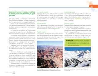 65
La erosión como proceso que modifica
el relieve por acción del viento, el agua
y el hielo
¿Por qué un metal se pone rojizo si permanece-
mucho tiempo en el agua? ¿Por qué no podemos
abrir los ojos cuando el viento sopla muy fuerte?
El proceso de fragmentación y descomposi-
ción de las rocas originado por la acción de agen-
tes físicos, químicos y orgánicos se conoce como
intemperismo.
La erosión es el conjunto de procesos que
transportan las rocas y los materiales fragmenta-
dos o desprendidos por acción del intemperismo.
La principal diferencia entre el intemperismo
y la erosión es que el primero es estático y la se-
gunda es dinámica, por lo que actúan al mismo
tiempo. Mientras el intemperismo desintegra y
descompone las rocas, la erosión las transporta
y las deposita, dando lugar a nuevos relieves.
El agua es uno de los agentes más erosivos y
activos de la Tierra. La lluvia, los ríos y las corrien-
tes subterráneas modifican el relieve constante-
mente.
Asimismo, el relieve es modificado por la ac-
ción del viento, que desgasta y transporta las par-
tículas de material que hay en la superficie de la
Tierra. Este proceso se conoce como erosión eó-
lica. Se presenta sobre todo en zonas carentes de
vegetación y es responsable de la formación de
las grandes dunas de algunos desiertos.
Podemos clasificar a la erosión de acuerdo con
los agentes que la provocan: erosión pluvial, flu-
vial, marina, kárstica y glacial.
La erosión pluvial
El impacto de las gotas de lluvia sobre la superfi-
cie del terreno provoca que las partículas sueltas
de la superficie sean removidas; al mismo tiempo,
se desprenden nuevas partículas que quedan a
merced del viento.
Erosión fluvial
Esta se genera por el constante flujo de agua y
sedimentos que desgastan la roca, formando los
llamados barrancos o cañones (figura 2.11).
Erosión marina
Es un proceso de desgaste de las costas, ocasio-
nado por el golpeteo de las olas, mareas y corrien-
tes marinas. Este tipo de erosión da origen a los
acantilados, las playas y barras costeras.
Erosión kárstica
Se origina cuando el agua de lluvia se filtra por
la roca caliza, cuya permeabilidad es notable, el
agua al flitrarse disuelve la roca. Este tipo de ero-
sión origina grutas, estalactitas, estalagmitas, ce-
notes y cavernas.
Erosión glacial
Se presenta principalmente en las altas montañas
o en las regiones cercanas a los polos.
El agua aumenta de volumen al congelarse;
puedes notar que si congelas agua dentro de una
botella: esta parece inflarse.
El aumento de volumen del agua y las rocas
que arrastran los glaciares actúan como lija,
dando origen a los valles glaciares (figura 2.12).
Figura 2.11 El gran cañón del Colorado, en Estados Unidos de
América, es resultado del paso del río durante millones de años.
Figura 2.12 El hielo es un poderoso agente erosivo, ya que arrastra
grandes cantidades de rocas. Por ejemplo, el glaciar de barrera
en la Antártida.
Estalactita: formación rocosa, se origina
por el depósito de minerales transporta-
dos mediante el agua que se filtra por el
techo de una caverna.
 
