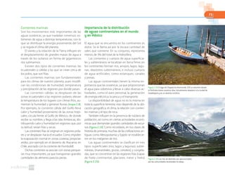73
Corrientes marinas
Son los movimientos más importantes de las
aguas oceánicas, ya que trasladan inmensos vo-
lúmenes de agua a distintas temperaturas, con lo
que se distribuye la energía proveniente del Sol
y se regula el clima del planeta.
El viento y la rotación de la Tierra influyen en
el desplazamiento de grandes masas de agua a
través de los océanos en forma de gigantescos
ríos submarinos.
Existen dos tipos de corrientes marinas: las
ecuatoriales o cálidas y las que se crean cerca de
los polos, que son frías.
Las corrientes marinas son fundamentales
para los climas de nuestro planeta, pues modifi-
can las condiciones de humedad, temperatura
y precipitación de las regiones por donde pasan.
Las corrientes cálidas se desplazan de las
zonas ecuatoriales a las regiones polares, elevan
la temperatura de los lugares con climas fríos, au-
mentan la humedad y generan lluvias (mapa 2.8).
Por ejemplo, la corriente cálida del Golfo lleva
calor y humedad proveniente de las zonas tropi-
cales, circula frente al Golfo de México, de donde
recibe su nombre, y llega a las islas británicas, dis-
tribuyendo calor y humedad en regiones que, por
su latitud, serían frías y secas.
Las corrientes frías se originan en regiones pola-
res y se desplazan hacia el ecuador. Como impiden
la evaporación normal en zonas costeras, propician
aridez, por ejemplo en el desierto de Atacama, en
Chile, asociado con la corriente de Humboldt.
Dichas corrientes se asocian con zonas pesque-
ras muy importantes, ya que transportan grandes
cantidades de alimento para los peces.
Importancia de la distribución
de aguas continentales en el mundo
y en México
El agua que se encuentra en los continentes es
dulce. Se le llama así por la escasa cantidad de
sales que contiene. En su conjunto, representa
menos de 3% del total de la hidrosfera.
Las corrientes y cuerpos de agua superficia-
les y subterráneos se localizan en tierra firme; en
los continentes forman ríos, arroyos, lagos, lagu-
nas, depósitos subterráneos, e incluso cuerpos
de agua artificiales, como estanques, canales
y presas.
Las aguas continentales tienen la misma im-
portancia que las oceánicas, ya que proporcionan
el agua para sobrevivir y llevar a cabo diversas ac-
tividades, como el aseo personal, la generación
de energía eléctrica, la pesca y el transporte.
La disponibilidad de agua no es la misma en
toda la superficie terrestre; esto depende de la ubi-
cación geográfica, el clima, la relación con corrien-
tes marinas y el tipo de roca.
También influyen en la presencia de núcleos de
población, así como en ciertas actividades econó-
micas que demandan grandes cantidades de recur-
sos (figura 2.19). Como recordarás, en tus clases de
historia de primaria, muchas de las civilizaciones an-
tiguas como Mesopotamia y Egipto se establecie-
ron en los márgenes de ríos.
Las aguas continentales se clasifican en tres
tipos: superficiales (ríos, lagos y lagunas); subte-
rráneas, (manantiales, grutas, cenotes); y congela-
das, que se concentran en las regiones frías (capas
de hielo continental, glaciares, nieve y hielo)
(figura 2.20).
Figura 2.19 El lago de Chapala ha disminuido 33% su volumen desde
el Porfiriato hasta nuestros días. Actualmente abastece a la ciudad de
Guadalajara y es un destino turístico.
Figura 2.20 Los ríos de deshielo son aprovechados
por las comunidades localizadas río abajo.
 
