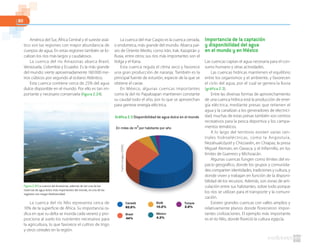 80
América del Sur, África Central y el sureste asiá-
tico son las regiones con mayor abundancia de
cuerpos de agua. En estas regiones también se lo-
calizan los ríos más largos y caudalosos.
La cuenca del río Amazonas abarca Brasil,
Venezuela, Colombia y Ecuador. Es la más grande
del mundo: vierte aproximadamente 160000 me-
tros cúbicos por segundo al océano Atlántico.
Esta cuenca contiene cerca de 25% del agua
dulce disponible en el mundo. Por ello es tan im-
portante y necesario conservarla (figura 2.24).
La cuenca del río Nilo representa cerca de
10% de la superficie de África. Su importancia ra-
dica en que su delta se inunda cada verano y pro-
porciona al suelo los nutrientes necesarios para
la agricultura, lo que favorece el cultivo de trigo
y otros cereales en la región.
La cuenca del mar Caspio es la cuenca cerrada,
o endorreica, más grande del mundo. Abarca paí-
ses de Oriente Medio, como Irán, Irak, Kazajstán y
Rusia, entre otros; sus ríos más importantes son el
Volga y el Kana.
Esta cuenca regula el clima seco y favorece
una gran producción de naranja. También es la
principal fuente de esturión, especie de la que se
obtiene el caviar.
En México, algunas cuencas importantes
como la del río Papaloapan mantienen constante
su caudal todo el año, por lo que se aprovechan
para generar energía eléctrica.
Importancia de la captación
y disponibilidad del agua
en el mundo y en México
Las cuencas captan el agua necesaria para el con-
sumo humano y otras actividades.
Las cuencas hídricas mantienen el equilibrio
entre los organismos y el ambiente, y favorecen
el ciclo del agua, por el cual se genera la lluvia
(gráfica 2.3).
Entre las diversas formas de aprovechamiento
de una cuenca hídrica está la producción de ener-
gía eléctrica, mediante presas que retienen el
agua y la canalizan a los generadores de electrici-
dad; muchas de estas presas también son centros
recreativos para la pesca deportiva y los campa-
mentos temáticos.
A lo largo del territorio existen varias cen-
trales hidroeléctricas, como la Angostura,
Nezahualcóyotl y Chicoasén, en Chiapas; la presa
Miguel Alemán, en Oaxaca; y el Infiernillo, en los
límites de Guerrero y Michoacán.
Algunas cuencas fungen como límites del es-
pacio geográfico, donde los grupos y comunida-
des comparten identidades, tradiciones y cultura, y
donde viven y trabajan en función de la disponi-
bilidad de los recursos. Además, son zonas de arti-
culación entre sus habitantes, sobre todo porque
los ríos se utilizan para el transporte y la comuni-
cación.
Existen grandes cuencas con valles amplios y
relativamente planos donde florecieron impor-
tantes civilizaciones. El ejemplo más importante
es el río Nilo, donde floreció la cultura egipcia.
Figura 2.24 La cuenca del Amazonas, además de ser una de las
reservas de agua dulce más importantes del mundo, es una de las
regiones con mayor biodiversidad.
En miles de m por habitante por año
3
Canadá
93.5%
Brasil
44%
EE.UU
10.2%
México
4.3%
Turquía
2.8%
EUA
Gráfica 2.3 Disponibilidad de agua dulce en el mundo
Fuente:Conagua.(2009).
 