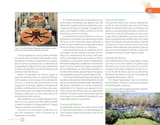 81
En la actualidad, las cuencas están sometidas
a la presión del crecimiento demográfico, la de-
forestación, la minería, la agricultura no sustenta-
ble, el turismo, la urbanización y la demanda de
energía eléctrica (figura 2.25), lo que compromete
el abasto de agua dulce; de ahí la importancia de
preservar este vital recurso.
México ha agrupado sus cuencas, según su
lugar de desembocadura, en regiones hídricas.
Como puedes ver en el mapa 2.11, la distribución
de ríos y su volumen de escurrimiento es muy
desigual en el territorio, debido principalmente
al relieve, la distribución de los climas y las carac-
terísticas del suelo; esto origina la distribución de
bosques y selvas que, a su vez, repercuten en el
escurrimiento de las cuencas.
Más de 60% de los ríos y lagos del país se loca-
lizan en el sur y sureste, de clima cálido-húmedo
y relieve montañoso: la mayor parte en Chiapas,
Tabasco y la región sur de Veracruz.
Asimismo, en esta región localizamos los
ríos más caudalosos, como el Usumacinta, el
Papaloapan y el Grijalva.
En el norte del país, que se caracteriza por sus
zonas áridas y semiáridas, que abarcan casi 70%
del territorio, la presencia de escurrimientos y acu-
mulaciones de agua es muy baja. Solo algunos es-
tados, como Nayarit y Sinaloa, cuentan con ríos de
importancia, como el río Fuerte.
La existencia de mantos freáticos es muy im-
portante en esta región; para aprovechar el agua
de estos, se han construido pozos artificiales y
presas de gran tamaño para resguardar el agua
de los ríos Bravo y Conchos, en Chihuahua.
La península de Yucatán se caracteriza por ser
una región con alto volumen de lluvia. Sin em-
bargo, las características de la roca y del suelo,
calizo y permeable, hacen que el agua se filtre al
subsuelo y se acumule en cavernas subterráneas,
formando estalagmitas y estalactitas. Al erosionarse
parte de la roca superficial y dejar al descubierto
los ríos subterráneos, se crean dolinas, también co-
nocidas como cenotes, aprovechados en la agricul-
tura, ganadería y consumo humano (figura 2.26).
La Comisión Nacional del Agua (Conagua), de-
pendencia del gobierno federal, divide los ríos del
país en tres vertientes fundamentales: del Atlántico,
del interior y del Pacífico; a su vez las vertientes se
subdividen en 37 regiones que agrupan las dis-
tintas cuencas del territorio para una mejor admi-
nistración de este recurso; como puedes observar
en el mapa 2.11, la cantidad de precipitación que
capta cada cuenca es muy distinta.
Cuencas del Atlántico
Sus principales cuencas son la del río Bravo, la del
río Tula-Moctezuma-Pánuco, la del Papaloapan, la
cuenca del río Grijalva-Usumacinta y la de los ríos
Azul y Hondo.
Cuencas del interior
Esta vertiente abarca dos cuencas importantes.
La del río Casas Grandes, que nace en la Sierra
Madre Occidental, entre Sonora y Chihuahua. Sus
aguas se usan principalmente para consumo hu-
mano en la zona de Chihuahua, así como para
la agricultura y ganadería, y la cuenca de los ríos
Nazas y Aguanaval que también nace en la Sierra
Madre Occidental y atraviesa Durango, Coahuila
y Zacatecas. En esta cuenca se han construido
grandes obras hidráulicas que permiten dotar de
agua a la comarca lagunera, donde se ubican las
ciudades de Torreón, Gómez Palacio y Lerdo.
Cuencas del Pacífico
Está conformada por los ríos Yaqui, Mayo y Fuerte,
que nacen en la Sierra Madre Occidental para
desembocar en el mar de Cortés. El río Lerma-
Santiago, el de mayor longitud en el país, se ini-
cia en el valle de Toluca por los escurrimientos
del Nevado de Toluca y cruza por los estados de
Guanajuato, Michoacán y Jalisco.
El río Balsas-Tepalcatepec nace en las monta-
ñas de Puebla y Tlaxcala, y cruza otras entidades,
como Michoacán y Guerrero.
Figura 2.25 La fuerza del paso del agua por los estrechos conductos
de las presas es aprovechada para generar electricidad.
Figura 2.26 Las rocas calizas en la península de Yucatán, no permiten
la existencia de ríos. El agua se extrae de cenotes.
 