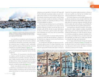 57
Los científicos consideran que la divergencia
de las placas es el origen de las enormes cadenas
montañosas submarinas conocidas como dorsa-
les oceánicas que, en algunos casos, sobresalen
de la superficie marina en forma de islas, como las
Canarias, en el océano Atlántico (figura 2.4).
El movimiento producido por las dorsales im-
plica una permanente expansión de los fondos
oceánicos.
Por último, el movimiento transformante
se origina cuando las placas se desplazan hori-
zonatalmente en sentido contrario, dando ori-
gen a fallas transformantes; la más conocida es
la Falla de San Andres localizada entre la placa
Norteamericana y la del Pacífico, zona caracterís-
tica por su intensa sismicidad (figura 2.5).
Existe una relación entre las zonas sísmicas
y volcánicas. La localización de los sismos ha per-
mitido verificar la presencia de los límites de las
placas tectónicas. Lo mismo ocurre con las zonas
volcánicas; por ejemplo, el Cinturón de Fuego del
Pacífico, llamado así porque rodea casi por com-
pleto dicho océano. En él se localizan algunos de
los volcanes más activos del mundo, como el Santa
Elena, en Estados Unidos de América; el Nevado
del Ruiz y Galeras, en Colombia; el Ubinas, en Perú;
y el Popocatépetl, en México.
Otras zonas que destacan por su actividad sís-
mica y volcánica se localizan en el centro de los
océanos Atlántico e Índico, al este de África, en el
llamado valle del Rift, donde una gran falla separa
en dos al continente y genera sismos de magni-
tud moderada; así como al sur de los continentes
europeo y asiático.
Los sismos pueden ocasionar deslizamientos
de tierra en zonas de alta pendiente y cambios en
el nivel de ríos y lagunas, entre otros fenómenos
que modifican el paisaje.
En condiciones naturales, los sismos no son fe-
nómenos destructivos. El riesgo inherente a esta
liberación de energía se crea cuando existe po-
blación que puede resultar afectada. El riesgo es
mayor en las grandes aglomeraciones urbanas, y
más aún cuando no se toman las medidas nece-
sarias de planeación e infraestructura.
En lo que respecta a la actividad volcánica, los
productos volcánicos, como cenizas y lodo, han sido
esenciales para formar suelos fértiles y aptos para la
agricultura en extensas regiones. Ejemplo de esto
son los suelos del centro del país, cuya fertilidad fa-
voreció el desarrollo de los pueblos prehispánicos.
Las erupciones volcánicas pueden causar gran
destrucción y dejar ciudades y pueblos sepultados
bajo la lava, como lo hizo el volcán Paricutín, en el
estado de Michoacán, en 1943. Por ello es necesa-
rio conocer y estudiar los volcanes mediante el re-
gistro de su actividad sísmica y la observación de
los materiales que salen por su cráter, para identifi-
car el grado de riesgo que representan.
En el mapa de distribución de las principales
zonas sísmicas y volcánicas (mapa 2.3) puedes ver
la relación entre los límites de placas tectónicas
y la ubicación de las zonas de mayor actividad
volcánica y sísmica en el mundo.
Figura 2.4 Islandia es un territorio insular ubicado al norte del océano
Atlántico. Su formación se debe a la divergencia del fondo oceánico.
En este país, la energía procedente del interior de la Tierra se utiliza
para la generación de electricidad.
Figura 2.5 La Falla de San Andrés que separa a la península de Baja California del continente de 2 a 3 cm por año provoca intensos sismos al sur
de California en Estados Unidos de América, como los ocurridos en 1906 y 1989.
 