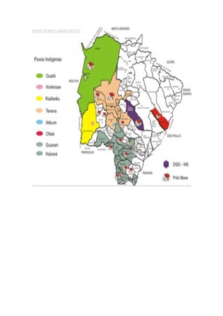 DOCUMENTO INFORMATIVO POVO INDIGENAS MS.docx