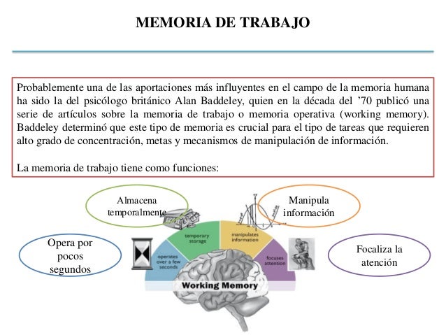 Documento la memoria de trabajo
