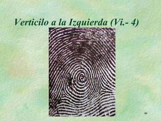 Vertificilo Documentología Bolivia | PPT