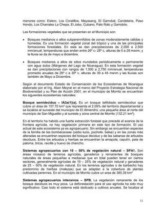 11
menores como: Estero, Los Coralillos, Mayasang, El Garrobal, Candelaria, Paso
Hondo, Los Charrales La Chepa, El Jobo, Cubano, Palo Ralo y Garrobito.
Las formaciones vegetales que se presentan en el Municipio son:
 Bosques medianos o altos subperennifolios de zonas moderadamente cálidas y
húmedas. Es una formación vegetal zonal del trópico y una de las principales
formaciones forestales. En esta se dan precipitaciones de 2,000 a 2,500
mm/anual, temperaturas que andan entre 26º c- 28º c, alturas de 0 a 28 msnm, y
la lluvia se da de mayo a diciembre.
 Bosques medianos a altos de sitios inundados periódicamente o permanente
con agua dulce (Márgenes del Lago de Nicaragua). En esta formación vegetal
se dan precipitaciones con rangos de 1,500 a 2,750 mm/anual, temperaturas
promedio anuales de 26º c a 30º c, alturas de 39 a 45 msnm y las lluvias son
también de Mayo a Diciembre.
Según el documento Estado de Conservación de los Ecosistemas de Nicaragua
elaborado por el Ing. Alain Meyrat en el marco del Proyecto Estrategia Nacional de
Biodiversidad y su Plan de Acción 2001, en el municipio de Morrito se encuentran
los siguientes ecosistemas naturales:
Bosque semideciduo – IA3a(1)(a). Es un bosque latifoliado semideciduo que
cubre un área de 157.70 km² que representa el 2.09% del territorio departamental y
se localiza al suroeste del municipio de El Almendro; una pequeña área al norte del
municipio de San Miguelito y al sureste y zona central de Morrito (132.21 km²).
En el territorio ha habido una fuerte extracción forestal que precede el avance de la
frontera agrícola, no hay vegetación primaria en este tipo de formación. El uso
actual de este ecosistema ya es agropecuario. Sin embargo se encuentran especies
de la familia de las bombacaceae (ceibo lucio, pochote, balsa) y en las zonas más
alteradas se encuentran especies del bosque deciduo y de las sabanas de arbustos
deciduos. Entre los arbustos y hierbas se encuentran la amapola, capulín, pata de
paloma, tiricia, raicilla y huevo de chancho.
Sistemas agropecuarios con 10 – 50% de vegetación natural – SPA1. Son
áreas mosaico de terrenos agrícolas, ganaderos y remanentes de bosques
naturales de áreas pequeñas a medianas que en total pueden tener en ciertos
sectores, generalmente agrícolas de 10 – 25% de vegetación natural y ganaderas
de 25 – 50% de vegetación natural. En los terrenos agrícolas o de barbecho hay
predominio de hierbas (malezas) que se adaptan a la cobertura de plantas
cultivadas perennes. En el municipio de Morrito cubre un area de 385.39 km²
Sistemas agropecuarios intensivos – SPB. La vegetación remanente de los
bosque deciduos es muy poca. La deforestación para el uso agrícola ha sido muy
significativo. Casi todo el sistema está dedicado a cultivos anuales. Se localiza al
 