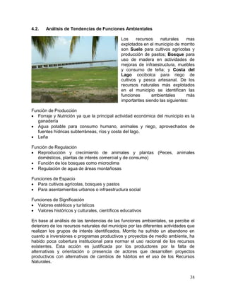 38
4.2. Análisis de Tendencias de Funciones Ambientales
Los recursos naturales mas
explotados en el municipio de morrito
son Suelo para cultivos agrícolas y
producción de pastos; Bosque para
uso de madera en actividades de
mejoras de infraestructura, muebles
y consumo de leña; y Costa del
Lago cocibolca para riego de
cultivos y pesca artesanal. De los
recursos naturales más explotados
en el municipio se identifican las
funciones ambientales más
importantes siendo las siguientes:
Función de Producción
 Forraje y Nutrición ya que la principal actividad económica del municipio es la
ganadería
 Agua potable para consumo humano, animales y riego, aprovechados de
fuentes hídricas subterráneas, ríos y costa del lago.
 Leña
Función de Regulación
 Reproducción y crecimiento de animales y plantas (Peces, animales
domésticos, plantas de interés comercial y de consumo)
 Función de los bosques como microclima
 Regulación de agua de áreas montañosas
Funciones de Espacio
 Para cultivos agrícolas, bosques y pastos
 Para asentamientos urbanos o infraestructura social
Funciones de Significación
 Valores estéticos y turísticos
 Valores históricos y culturales, científicos educativos
En base al análisis de las tendencias de las funciones ambientales, se percibe el
deterioro de los recursos naturales del municipio por las diferentes actividades que
realizan los grupos de interés identificados. Morrito ha sufrido un abandono en
cuanto a inversiones o programas productivos y proyectos de medio ambiente, ha
habido poca cobertura institucional para normar el uso racional de los recursos
existentes. Esta acción es justificada por los productores por la falta de
alternativas y orientación o presencia de actores que desarrollen proyectos
productivos con alternativas de cambios de hábitos en el uso de los Recursos
Naturales.
 
