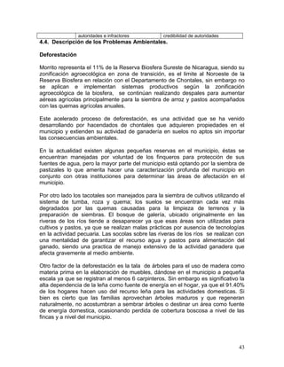 43
autoridades e infractores credibilidad de autoridades
4.4. Descripción de los Problemas Ambientales.
Deforestación
Morrito representa el 11% de la Reserva Biosfera Sureste de Nicaragua, siendo su
zonificación agroecológica en zona de transición, es el limite al Noroeste de la
Reserva Biosfera en relación con el Departamento de Chontales, sin embargo no
se aplican e implementan sistemas productivos según la zonificación
agroecológica de la biosfera, se continúan realizando despales para aumentar
aéreas agrícolas principalmente para la siembra de arroz y pastos acompañados
con las quemas agrícolas anuales.
Este acelerado proceso de deforestación, es una actividad que se ha venido
desarrollando por hacendados de chontales que adquieren propiedades en el
municipio y extienden su actividad de ganadería en suelos no aptos sin importar
las consecuencias ambientales.
En la actualidad existen algunas pequeñas reservas en el municipio, éstas se
encuentran manejadas por voluntad de los finqueros para protección de sus
fuentes de agua, pero la mayor parte del municipio está optando por la siembra de
pastizales lo que amerita hacer una caracterización profunda del municipio en
conjunto con otras instituciones para determinar las áreas de afectación en el
municipio.
Por otro lado los tacotales son manejados para la siembra de cultivos utilizando el
sistema de tumba, roza y quema; los suelos se encuentran cada vez más
degradados por las quemas causadas para la limpieza de terrenos y la
preparación de siembras. El bosque de galería, ubicado originalmente en las
riveras de los ríos tiende a desaparecer ya que esas áreas son utilizadas para
cultivos y pastos, ya que se realizan malas prácticas por ausencia de tecnologías
en la actividad pecuaria. Las socolas sobre las riveras de los ríos se realizan con
una mentalidad de garantizar el recurso agua y pastos para alimentación del
ganado, siendo una practica de manejo extensivo de la actividad ganadera que
afecta gravemente al medio ambiente.
Otro factor de la deforestación es la tala de árboles para el uso de madera como
materia prima en la elaboración de muebles, dándose en el municipio a pequeña
escala ya que se registran al menos 6 carpinteros. Sin embargo es significativo la
alta dependencia de la leña como fuente de energía en el hogar, ya que el 91.40%
de los hogares hacen uso del recurso leña para las actividades domesticas. Si
bien es cierto que las familias aprovechan árboles maduros y que regeneran
naturalmente, no acostumbran a sembrar árboles o destinar un área como fuente
de energía domestica, ocasionando perdida de cobertura boscosa a nivel de las
fincas y a nivel del municipio.
 