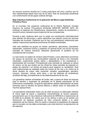 46
de insumos quimicos durante los 2 ciclos productivos del arroz, practica que ha
sido implementada desde hace mas de 25 años. Esto ha ocasionado seriamente
una contaminación de las aguas costeras del lago.
Baja Cobertura Institucional en la aplicación del Marco Legal Ambiental,
Forestal y Pesca
En el municipio hay presencia institucional de la Policía Nacional, Consejo
Supremo de Justicia, Procuraduría Ambiental, MAGFOR, INAFOR, INTA. Sin
embargo no disponen de infraestructura, equipamiento, medios de movilización y
recurso humano necesario para el ejercicio de sus competencias.
Sumado a esto, podemos decir que no existe una coordinación interinstitucional
para atender los denuncias y casos específicos que atentan contra los recursos
naturales del municipio. Partiendo que no hay una planificación institucional para
realizar inspecciones periódicas preventivas de delitos ambientales.
Ante esta debilidad los grupos de interés: ganaderos, agricultores, pescadores
artesanales, cazadores furtivos y población en general hacen uso de los recursos
naturales de manera irracional, afectando gravemente al equilibrio de los
ecosistemas del municipio.
La caza furtiva se realiza de manera indiscriminada y como alternativa económica
por grupos de personas que comercializan especies de fauna a los mercados
nacionales, ocasionando graves daños y desequilibrios a los ecosistemas y
biodiversidad del municipio. Principalmente esta actividad es realizada en época
de verano, en las que existen por ley oficial las vedas parciales de especies en
peligro de extinción y en tiempo de postura para asegurar su repoblación. Esta
caza indiscriminada es realizada sobre las riveras de los ríos y en contra de la
fauna silvestre de mayor valor comercial: venados, guardatinajas, garrobos,
cuzucos, chocoyos, monos, entre otros, y con las especies de ecosistemas
acuáticas del lago, principalmente en las desembocaduras de los ríos.
Los ganaderos realizan actividades de tumba, tala y quema de áreas de bosques
para la siembra y expansión de pastizales sin la debida autorización de las
instituciones competentes. Al igual los agricultores realizan deforestación de áreas
boscosas para la siembra de granos básicos y utilizan dosis no adecuadas de
insumos agroquímicos.
Los pescadores artesanales hacen uso de artes de pesca no adecuadas violando
el marco legal de pesca y explotando irracionalmente el recurso pesquero,
aprovechando que no hay presencia institucional de INPESCA e inspecciones de
la UAM de la alcaldía. Es notorio que en los ultimos 5 años se ha sentido una
disminución de especies acuaticas de valor comercial debido a la sobre
explotacion de los mismos. Esto ha venido a ocasionar la explotacion de especies
que no cumplen con las tallas comerciales y por ende disminuir la reproducción de
las especies.
 