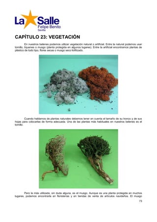 CAPÍTULO 23: VEGETACIÓN
         En nuestros belenes podemos utilizar vegetación natural o artificial. Entre la natural podemos usar
tomillo, líquenes o musgo (planta protegida en algunos lugares). Entre la artificial encontramos plantas de
plástico de todo tipo, flores secas o musgo seco liofilizado.




         Cuando hablamos de plantas naturales debemos tener en cuenta el tamaño de su tronco y de sus
hojas para colocarlas de forma adecuada. Una de las plantas más habituales en nuestros belenes es el
tomillo.




        Pero la más utilizada, sin duda alguna, es el musgo. Aunque es una planta protegida en muchos
lugares, podemos encontrarla en floristerías y en tiendas de venta de artículos navideños. El musgo
                                                                                                         73
 
