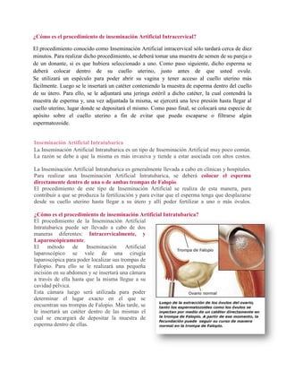 ¿Cómo es el procedimiento de inseminación Artificial Intracervical?

El procedimiento conocido como Inseminación Artificial intracervical sólo tardará cerca de diez
minutos. Para realizar dicho procedimiento, se deberá tomar una muestra de semen de su pareja o
de un donante, si es que hubiera seleccionado a uno. Como paso siguiente, dicho esperma se
deberá colocar dentro de su cuello uterino, justo antes de que usted ovule.
Se utilizará un espéculo para poder abrir su vagina y tener acceso al cuello uterino más
fácilmente. Luego se le insertará un catéter conteniendo la muestra de esperma dentro del cuello
de su útero. Para ello, se le adjuntará una jeringa estéril a dicho catéter, la cual contendrá la
muestra de esperma y, una vez adjuntada la misma, se ejercerá una leve presión hasta llegar al
cuello uterino, lugar donde se depositará el mismo. Como paso final, se colocará una especie de
apósito sobre el cuello uterino a fin de evitar que pueda escaparse o filtrarse algún
espermatozoide.


Inseminación Artificial Intratubarica
La Inseminación Artificial Intratubarica es un tipo de Inseminación Artificial muy poco común.
La razón se debe a que la misma es más invasiva y tiende a estar asociada con altos costos.

La Inseminación Artificial Intratubarica es generalmente llevada a cabo en clínicas y hospitales.
Para realizar una Inseminación Artificial Intratubarica, se deberá colocar el esperma
directamente dentro de una o de ambas trompas de Falopio.
El procedimiento de este tipo de Inseminación Artificial se realiza de esta manera, para
contribuir a que se produzca la fertilización y para evitar que el esperma tenga que desplazarse
desde su cuello uterino hasta llegar a su útero y allí poder fertilizar a uno o más óvulos.

¿Cómo es el procedimiento de inseminación Artificial Intratubarica?
El procedimiento de la Inseminación Artificial
Intratubarica puede ser llevado a cabo de dos
maneras diferentes: Intracervicalmente, y
Laparoscópicamente.
El    método     de    Inseminación      Artificial
laparoscópico se vale de una cirugía
laparoscópica para poder localizar sus trompas de
Falopio. Para ello se le realizará una pequeña
incisión en su abdomen y se insertará una cámara
a través de ella hasta que la misma llegue a su
cavidad pélvica.
Esta cámara luego será utilizada para poder
determinar el lugar exacto en el que se
encuentran sus trompas de Falopio. Más tarde, se
le insertará un catéter dentro de las mismas el
cual se encargará de depositar la muestra de
esperma dentro de ellas.
 