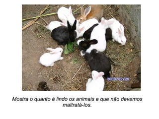 Mostra o quanto é lindo os animais e que não devemos maltratá-los. 