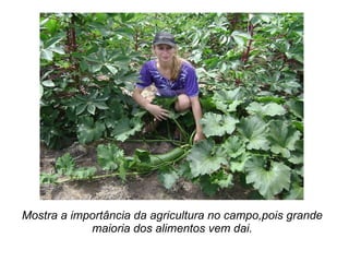 Mostra a importância da agricultura no campo,pois grande maioria dos alimentos vem dai. 