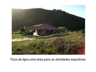 Toca da tigra uma área para as atividades esportivas. 