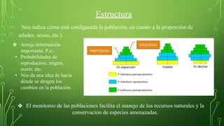 Estructura
Nos indica cómo está configurada la población, en cuanto a la proporción de
edades, sexos, etc.).
❖ Arroja información
importante. P.e.:
• Probabilidades de
reproducirse, migrar,
morir, etc.
• Nos da una idea de hacia
dónde se dirigen los
cambios en la población.
❖ El monitoreo de las poblaciones facilita el manejo de los recursos naturales y la
conservación de especies amenazadas.
 