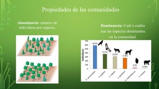 Propiedades de las comunidades
Abundancia: número de
individuos por especie. Dominancia: Cuál o cuáles
son las especies dominantes
en la comunidad.
 