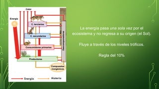 La energía pasa una sola vez por el
ecosistema y no regresa a su origen (el Sol).
Fluye a través de los niveles tróficos.
Regla del 10%
 