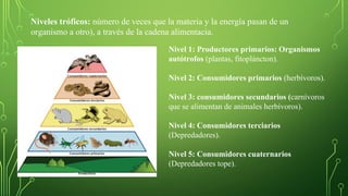 Nivel 1: Productores primarios: Organismos
autótrofos (plantas, fitopláncton).
Nivel 2: Consumidores primarios (herbívoros).
Nivel 3: consumidores secundarios (carnívoros
que se alimentan de animales herbívoros).
Nivel 4: Consumidores terciarios
(Depredadores).
Nivel 5: Consumidores cuaternarios
(Depredadores tope).
Niveles tróficos: número de veces que la materia y la energía pasan de un
organismo a otro), a través de la cadena alimentacia.
 
