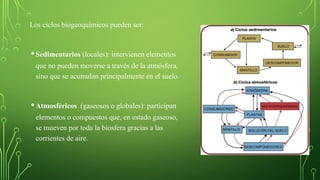Los ciclos biogeoquímicos pueden ser:
• Sedimentarios (locales): intervienen elementos
que no pueden moverse a través de la atmósfera,
sino que se acumulan principalmente en el suelo.
• Atmosféricos (gaseosos o globales): participan
elementos o compuestos que, en estado gaseoso,
se mueven por toda la biosfera gracias a las
corrientes de aire.
 
