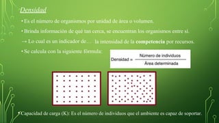 Densidad
• Es el número de organismos por unidad de área o volumen.
• Brinda información de qué tan cerca, se encuentran los organismos entre sí.
→ Lo cual es un indicador de…
• Se calcula con la siguiente fórmula:
la intensidad de la competencia por recursos.
• Capacidad de carga (K): Es el número de individuos que el ambiente es capaz de soportar.
 