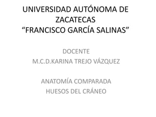 UNIVERSIDAD AUTÓNOMA DE
        ZACATECAS
“FRANCISCO GARCÍA SALINAS”

           DOCENTE
  M.C.D.KARINA TREJO VÁZQUEZ

    ANATOMÍA COMPARADA
     HUESOS DEL CRÁNEO
 
