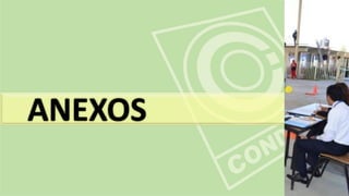 ANEXOS
 