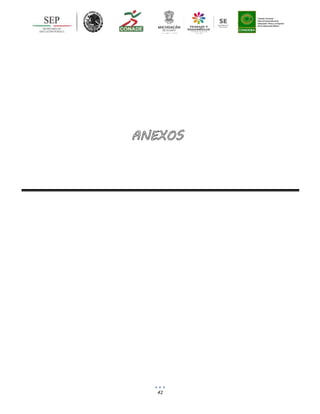 42
ANEXOS
 