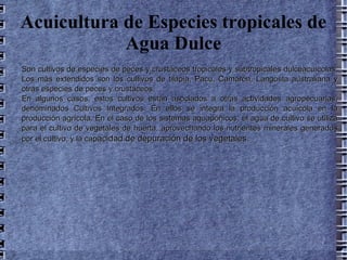 Acuicultura de Especies tropicales de Agua Dulce Son cultivos de especies de peces y crustáceos tropicales y subtropicales dulceacuícolas. Los más extendidos son los cultivos de tilapia, Pacu, Camarón, Langosta australiana y otras especies de peces y crustáceos. En algunos casos, estos cultivos están asociados a otras actividades agropecuarias, denominados Cultivos Integrados. En ellos se integra la producción acuícola en la producción agrícola. En el caso de los sistemas aquapónicos, el agua de cultivo se utiliza para el cultivo de vegetales de huerta, aprovechando los nutrientes minerales generados por el cultivo, y la cap acidad de depuración de los vegetales. 