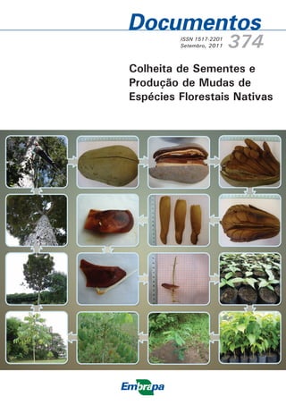 ISSN 1517-2201
Setembro, 2011 374
Colheita de Sementes e
Produção de Mudas de
Espécies Florestais Nativas
 