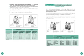 64 65
•	 El ambiente húmedo debe conseguirse solo humedeciendo, y no mojando, el
papel. Debe usarse la misma cantidad y tipo de agua en todos los casos.
•	 En cada ambiente, al inicio, debe ponerse siempre el mismo número de chanchitos
de tierra (se recomienda cuatro o cinco en cada espacio).
•	 Los espacios deben tener suficiente aire, pero no estar totalmente abiertos, para
que no salgan los chanchitos.
(Ver la siguiente imagen, que sugiere los montajes y las condiciones).
Fondo de botella
plástica
Parte superior
de botella
plástica
Corte al ras del fondo
para puerta de acceso,
(unir con cinta)
húmedo
seco
tapa
Fondo de botella
plástica
Parte superior
de botella
plástica
Corte al ras del fondo
para puerta de acceso,
(unir con cinta)
húmedo
tapa
EXPERIMENTO CONTROL
Compartimiento
izquierdo (A)
Compartimiento
derecho (B)
Compartimiento
izquierdo (C)
Compartimiento
derecho (D)
­- Humedad
­- Luz
­- Papel
­- Temperatura
­- N° de chanchitos
al inicio
Húmedo
Poco intensa
Higiénico blanco
Del ambiente
4 o 5
Seco
Igual que (A)
Igual que (A)
Igual que (A)
igual que (A)
Húmedo
Igual que (A)
Igual que (A)
Igual que (A)
igual que (A)
Húmedo
Igual que (A)
Igual que (A)
Igual que (A)
igual que (A)
EXPERIMENTO CONTROL
húmedo
Experimento 2: chanchitos de tierra en ambientes
					 iluminado u oscuro
Con el mismo equipo de trabajo (usado en los montajes 1 y 2), montaremos los
experimentos para verificar si los chanchitos de tierra intentarán ubicarse en un lugar
«iluminado» o en uno «oscuro».
El material que se usará para crear el ambiente oscuro puede ser una tela negra que
cubra uno de los lados, mientras que el otro debe permanecer descubierto.
El montaje para el grupo de control deberá tener ambos ambientes cubiertos con la tela
negra. Deben tenerse en cuenta también las condiciones que van a ser controladas.
Ver la siguiente figura:
Fondos de botella
plástica
Parte superior
de botella
plástica
Corte al ras del fondo
para puerta de acceso,
(unir con cinta)
iluminado
oscuro
tapa
Fondos de botella
plástica
Parte superior
de botella
plástica
Corte al ras del fondo
para puerta de acceso,
(unir con cinta)
oscuro
tapa
oscuro
EXPERIMENTO CONTROL
Compartimiento
izquierdo (A)
Compartimiento
derecho (B)
Compartimiento
izquierdo (C)
Compartimiento
derecho (D)
­­- Iluminación
­- Luz
­- Tela
­- Temperatura
­- N° de chanchitos
al inicio
Iluminado
Poco intensa
Ninguna
Del ambiente
4 o 5
Oscuro
Igual que (A)
Negra
Igual que (A)
igual que (A)
Oscuro
Igual que (A)
Igual que (A)
Igual que (A)
igual que (A)
Oscuro
Igual que (A)
Igual que (A)
Igual que (A)
igual que (A)
 