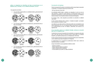 68 69
¿Cómo se comportan los chanchitos de tierra al encontrarse en un
ambiente seco o húmedo, o en un ambiente iluminado u oscuro?
Y las preguntas secundarias:
•	 Si los chanchitos de tierra están en un ambiente húmedo, ¿permanecerán allí
o se irán a uno seco?
•	 Si los chanchitos de tierra están en un ambiente seco, ¿permanecerán allí o se
irán a uno húmedo?
•	 Si los chanchitos de tierra están en un ambiente iluminado, ¿permanecerán
allí o se irán a uno oscuro?
•	 Si los chanchitos tierra están en un ambiente oscuro, ¿permanecerán allí o se
irán a uno iluminado?
Formulación de hipótesis
Frente a las preguntas formuladas, los estudiantes podrán ensayar algunas respuestas
y sustentarlas. Una pregunta adicional que haremos será:
«¿Por qué crees que ocurrirá así?».
Los estudiantes podrían tender a «adivinar» sus respuestas, lo cual no es raro en
niños pequeños, a quienes les cuesta relacionar sus observaciones previas con las
preguntas (en este ejemplo, lo correcto sería relacionar las preguntas con el hábitat en
el que encontraron a los chanchitos de tierra al momento de recogerlos).
Sin embargo, estas u otras respuestas que planteen los estudiantes no deberán
descartarse.
En todo momento evitaremos decir o insinuar —ni siquiera con gestos— que alguna
de las respuestas es acertada o errada.
Una referencia que puede servirnos de base para saber que una respuesta es una
buena respuesta (ojo, aún «no» una respuesta válida) es que podrá ser comprobable
con la experimentación (es decir, ser validada o desechada), como veremos en el
siguiente caso:
Canalizaremos las formas de responder de los estudiantes con preguntas adicionales
como: ¿qué crees que harán los chanchitos de tierra cuando estén en un ambiente
húmedo?, ¿se moverán de allí para irse a un ambiente seco?, entre otras.
En este momento aclararemos que todas las respuestas tendrán que ser comprobadas
con las evidencias que iremos recogiendo en la indagación.
La implementación de la capacidad de problematizar termina aquí, cuando los
estudiantes plantean sus hipótesis.
El logro del estudiante en esta capacidad se evidencia cuando:
•	Delimita el problema.
•	Plantea preguntas referidas al problema.
•	Predice comportamientos (cualitativos).
•	Formula hipótesis que pueden ser objeto de validación.
Si los chanchitos están en un ambiente húmedo, entonces se moverán
para irse a un ambiente seco.
 