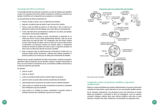 80 81
Tecnología del ADN recombinante
La tecnología del ADN recombinante comprende una serie de métodos para identificar
un gen en un organismo (el hombre), aislarlo e insertarlo en el ADN de una bacteria; por
ejemplo, Escherichia coli, consiguiendo que se exprese con normalidad.
Los procedimientos de ADN recombinante son:
	 Primero, se aísla un vector, como un plásmido de la bacteria.
	 Segundo, se obtiene el gen de interés, el gen humano de la insulina.
	 Tercero, el gen de interés se inserta en un ADN vector in vitro, el vector es un
plásmido (la molécula de ADN elegida como vector debe ser autorreplicante).
	 Cuarto, este ADN vector recombinante es captado por una célula, por ejemplo,
una bacteria, donde puede multiplicarse.
	 Quinto, la célula que contiene el vector recombinante se desarrolla en un
cultivo para formar muchas células genéticamente idénticas, cada una de las
cuales porta una copia del vector. Por consiguiente, este clon celular contiene
muchas copias del gen de interés. Esta es la razón por la que los ADN vectores
se denominan con frecuencia vectores de clonación génica o simplemente
vectores de clonación (la palabra clon indica un gen o un genoma completo y el
verbo clonar se utiliza para describir el proceso completo).
	 Sexto, se expresa el gen de interés (transcrito y traducido) en la célula clon y su
producto proteico puede recuperarse y utilizarse para diversos propósitos. El
producto proteico es la insulina que se utiliza para el tratamiento de diabetes.
Después de que nuestros estudiantes han leído el documento y revisado el esquema,
generemos algunas preguntas que les permitan averiguar conceptos relacionados al
tema, así como evaluar la comprensión de los conocimientos científicos relacionados a
la idea que queremos que aprenda.
Por ejemplo:
	 ¿Qué es un gen?
	 ¿Qué es un vector?
	 ¿Cómo una bacteria puede producir insulina? Explica el esquema.
	 ¿Qué otro vector se puede utilizar además de plásmidos de bacterias?
	 ¿Qué ventajas tiene la producción de insulina humana mediante bacterias?
	 ¿Qué sucede si la cantidad de insulina suministrada al paciente es insuficiente
para metabolizar la glucosa existente?
	 ¿Qué sucede si la cantidad de insulina suministrada al paciente excede la
cantidad necesaria para metabolizar la glucosa en la sangre?
Comprende y aplica conocimientos científicos y argumenta
científicamente
Pedimos a nuestros estudiantes que analicen individualmente o en grupos la información
contenida en el documento, y que la relacionen con sus conocimientos científicos previos.
De ser necesario, proponemos a los estudiantes buscar más información en fuentes
fiables que fortalezcan o profundicen el tema de investigación, como por ejemplo,
consultas a biólogos, médicos, libros, tesis, artículos científicos, entre otros, ya sean
impresos o virtuales. Pero antes, orientemos a los estudiantes con preguntas como:
Esquema para la producción de insulina
Fuente: Tortora, Funke. & Case (2007).
El producto proteico es la insulina
Bacteria
Cromosoma
bacteriano
1. Se aísla un vector
como un plásmido
2. Una enzima
escinde el DNA en
fragmentos
Gen de
interés
3. El gen se inserta
en el plásmido
DNA recombinante
(plásmido)
Plásmido
4. El plásmido es captado
por una célula, como una
bacteria
5. Se clonan las células con
el gen de interés
Bacteria
transformada
El objetivo puede ser formar un
producto proteico del gen
Plásmido
RNA
Producto proteico
6. La célula elabora un
producto proteico
7. Se cosechan las
proteínas deseadas
DNA que
contiene
el gen de
interés
 
