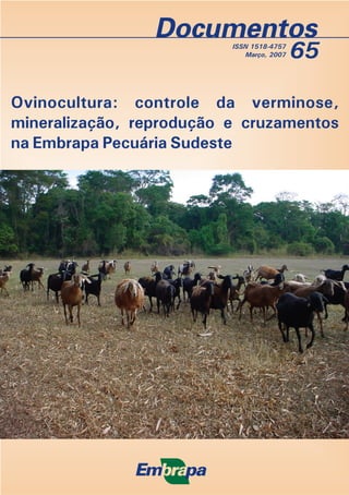 65
Ovinocultura: controle da verminose,
mineralização, reprodução e cruzamentos
na Embrapa Pecuária Sudeste
ISSN 1518-4757
Março, 2007
 