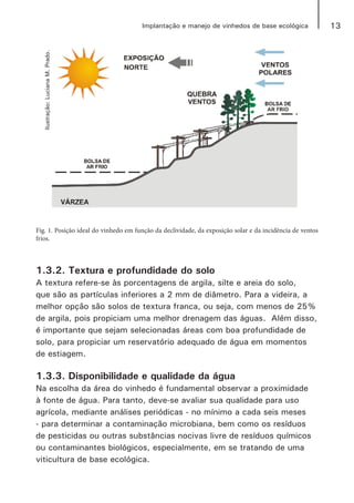 13Implantação e manejo de vinhedos de base ecológica
Fig. 1. Posição ideal do vinhedo em função da declividade, da exposição solar e da incidência de ventos
frios.
1.3.2. Textura e profundidade do solo
A textura refere-se às porcentagens de argila, silte e areia do solo,
que são as partículas inferiores a 2 mm de diâmetro. Para a videira, a
melhor opção são solos de textura franca, ou seja, com menos de 25%
de argila, pois propiciam uma melhor drenagem das águas. Além disso,
é importante que sejam selecionadas áreas com boa profundidade de
solo, para propiciar um reservatório adequado de água em momentos
de estiagem.
1.3.3. Disponibilidade e qualidade da água
Na escolha da área do vinhedo é fundamental observar a proximidade
à fonte de água. Para tanto, deve-se avaliar sua qualidade para uso
agrícola, mediante análises periódicas - no mínimo a cada seis meses
- para determinar a contaminação microbiana, bem como os resíduos
de pesticidas ou outras substâncias nocivas livre de resíduos químicos
ou contaminantes biológicos, especialmente, em se tratando de uma
viticultura de base ecológica.
Ilustração:LucianaM.Prado.
 