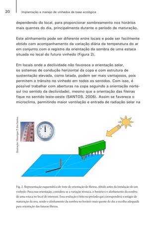 20 Implantação e manejo de vinhedos de base ecológica
dependendo do local, para proporcionar sombreamento nos horários
mais quentes do dia, principalmente durante o período de maturação.
Este alinhamento pode ser diferente entre locais e pode ser facilmente
obtido com acompanhamento da variação diária da temperatura do ar
em conjunto com o registro da orientação da sombra de uma estaca
situada no local do futuro vinhedo (Figura 2).
Em locais onde a declividade não favorece a orientação solar,
os sistemas de condução horizontal da copa e com estrutura de
sustentação elevada, como latada, podem ser mais vantajosos, pois
permitem o trânsito no vinhedo em todos os sentidos. Com isso, é
possível trabalhar com aberturas na copa seguindo a orientação norte-
sul (no sentido da declividade), mesmo que a orientação das fileiras
fique no sentido leste-oeste (SANTOS, 2006). Assim se favorece o
microclima, permitindo maior ventilação e entrada de radiação solar na
Fig. 2. Representação esquemática do teste de orientação de fileiras, obtido antes da instalação de um
vinhedo. Para essa orientação, considera-se a variação térmica, o horário e o alinhamento da sombra
de uma estaca no local de interesse. Essa avaliação é feita no período que corresponderá o estágio de
maturação da uva, sendo o alinhamento da sombra no horário mais quente do dia a escolha adequada
para orientação das futuras fileiras.
Ilustração:HenriqueP.dosSantos.
 