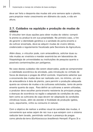 24 Implantação e manejo de vinhedos de base ecológica
deve ser feita a desponta das mudas até uma semana após o plantio,
para propiciar maior crescimento em diâmetro do caule, e não em
altura.
2.7. Cuidados na aquisição e produção de mudas de
videira
O viticultor tem duas opções para obter mudas de videira: comprá-
la pronta ou produzi-la em sua propriedade. No primeiro caso, a fim
de garantir a identidade genética e a sanidade do porta-enxerto e
da cultivar enxertada, deve-se adquirir mudas de viveiro idôneo,
credenciado e regularmente fiscalizado pela Secretaria da Agricultura.
Além disso, o viticultor pode, com antecedência, solicitar duas ou
três mudas ao viveirista e mandar examiná-las em laboratórios de
fitopatologia de universidades ou instituições de pesquisa quanto a
possíveis contaminações por patógenos.
No caso destes cuidados não serem observados, pode-se comprometer
a viabilidade econômica da atividade, pela introdução no vinhedo de
focos de doenças e pragas de difícil controle. Importante salientar que
a encomenda das mudas deve ser realizada com, no mínimo, um ano
de antecedência à data de plantio, para permitir a produção adequada
quanto ao número de mudas e às cultivares solicitadas, tanto de porta-
enxerto quanto da copa. Para definir as cultivares a serem utilizadas,
o produtor deve escolher porta-enxerto resistente às principais pragas
e doenças de ocorrência na região e adaptado às condições de solo,
bem como as cultivares de copa devem ter adaptação às condições
climáticas locais, além de atender à finalidade de produção (geleia,
suco, espumante, vinho ou consumo in natura).
Com o objetivo de realizar a análise visual da sanidade das mudas, é
conveniente que estas sejam de raiz nua e que estejam com o sistema
radicular bem lavado, permitindo verificar a presença de pragas
como pérola-da-terra (Eurhizococcus brasiliensis Hempel) (Figura 3) e
 