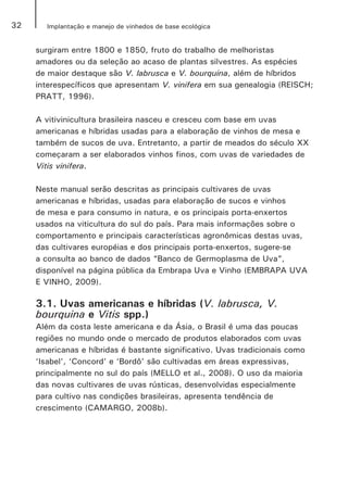 32 Implantação e manejo de vinhedos de base ecológica
surgiram entre 1800 e 1850, fruto do trabalho de melhoristas
amadores ou da seleção ao acaso de plantas silvestres. As espécies
de maior destaque são V. labrusca e V. bourquina, além de híbridos
interespecíficos que apresentam V. vinifera em sua genealogia (REISCH;
PRATT, 1996).
A vitivinicultura brasileira nasceu e cresceu com base em uvas
americanas e híbridas usadas para a elaboração de vinhos de mesa e
também de sucos de uva. Entretanto, a partir de meados do século XX
começaram a ser elaborados vinhos finos, com uvas de variedades de
Vitis vinifera.
Neste manual serão descritas as principais cultivares de uvas
americanas e híbridas, usadas para elaboração de sucos e vinhos
de mesa e para consumo in natura, e os principais porta-enxertos
usados na viticultura do sul do país. Para mais informações sobre o
comportamento e principais características agronômicas destas uvas,
das cultivares européias e dos principais porta-enxertos, sugere-se
a consulta ao banco de dados “Banco de Germoplasma de Uva”,
disponível na página pública da Embrapa Uva e Vinho (EMBRAPA UVA
E VINHO, 2009).
3.1. Uvas americanas e híbridas (V. labrusca, V.
bourquina e Vitis spp.)
Além da costa leste americana e da Ásia, o Brasil é uma das poucas
regiões no mundo onde o mercado de produtos elaborados com uvas
americanas e híbridas é bastante significativo. Uvas tradicionais como
‘Isabel’, ‘Concord’ e ‘Bordô’ são cultivadas em áreas expressivas,
principalmente no sul do país (MELLO et al., 2008). O uso da maioria
das novas cultivares de uvas rústicas, desenvolvidas especialmente
para cultivo nas condições brasileiras, apresenta tendência de
crescimento (CAMARGO, 2008b).
 